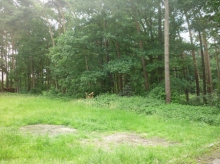 lokaal