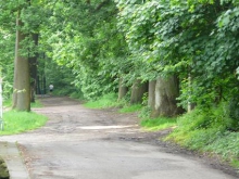 lokaal
