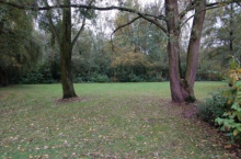 lokaal