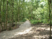 lokaal
